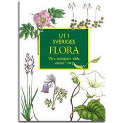 Ut i Sveriges flora: våra vanligaste vilda växter (Häftad, 2017)