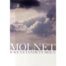 Molnet: icke-vetandets moln i vilket själen möter Gud (Häftad)