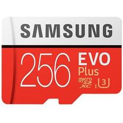 Samsung Adaptateur MicroSDXC EVO Plus 256 Go Classe 10