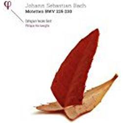 Collegium Vocale Gent - Bach: Motetten BWV 225-230 (Vinyl)