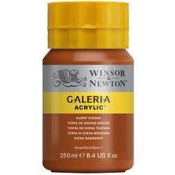 Winsor & Newton Galeria Acrylic Burnt Sienna 250ml