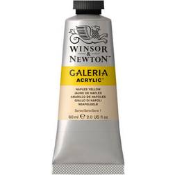 Winsor & Newton Galeria Acrylic Naples Yellow 60ml