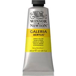 Winsor & Newton Galeria Acrylic Lemon Yellow 60ml