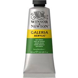 Winsor & Newton Galeria Acrylic Sap Green 60ml