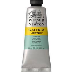 Winsor & Newton Galeria Acrylic Pale Olive 60ml