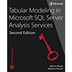Tabular Modeling in Microsoft SQL Server Analysis Services (Developer Reference ) (Paperback)