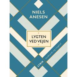 Lygten ved vejen (E-bok, 2017)