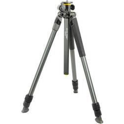 Vanguard Alta Pro 2 + 263AT