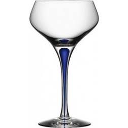 Orrefors Intermezzo Champagne Glass 29cl