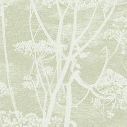 Cole & Son Cow Parsley Print Wallpaper Olive 112/8029 Roll