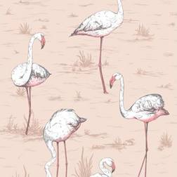 Cole & Son Tapete Flamingos Icons von and Ballet Slipper rosa