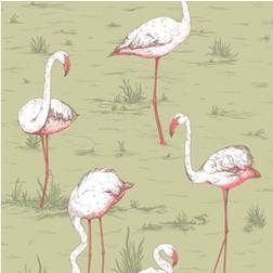 Cole & Son Flamingos Wallpaper Icons Collection 112/11038 Roll