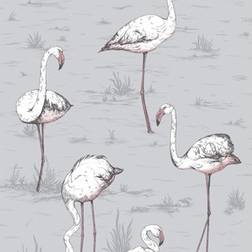 Cole & Son Flamingos Wallpaper Icons Collection 112/11041 Roll