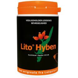 Litohyben Hybenpulver 250 stk