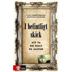 I befintligt skick: Att ta sig själv på allvar (E-bok, 2018)