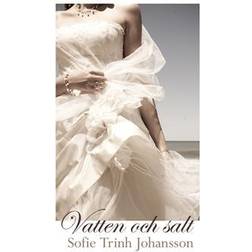 Vatten och salt (E-bok, 2013)