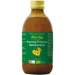 Oil of Life Kæmpenatlysolie 250ml