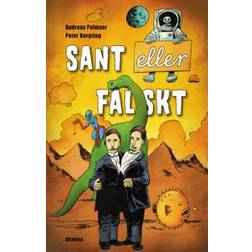 Sant eller falskt (E-bok, 2013)