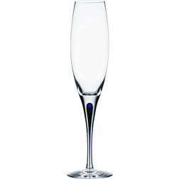 Orrefors Intermezzo Champagneglas 26cl