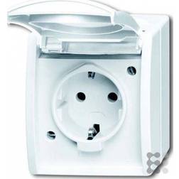 Busch-Jaeger Schuko-Steckdose 20 EW-54 2CKA002083A0834