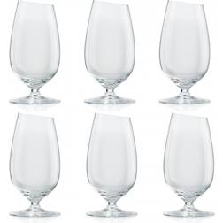 Eva Solo small Ölglas 35cl 6st