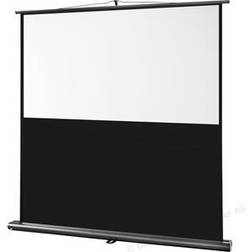 Celexon Ecran de projection Ultramobile PRO 120 x 75