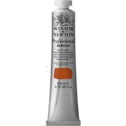 Winsor & Newton Professional Acrylic Burnt Sienna 200ml