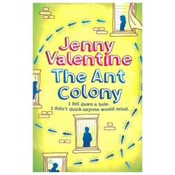 The Ant Colony: I fell down a hole. I didn't think anyone would mind (Paperback, 2009)