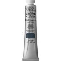 Winsor & Newton Professional Acrylic Paynes Gray 200ml