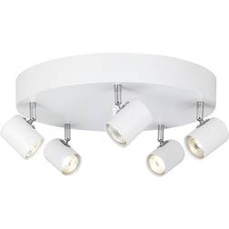 Cottex Alpha Spotlight