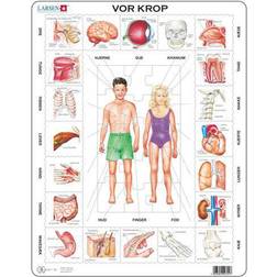 Larsen Our Body 35 Bitar