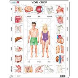 Larsen Our Body 35 Brikker