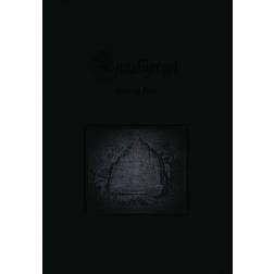 Runebjerget (Häftad, 2017)