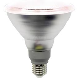 LightMe Ampoule pour plantes LED E27 PAR38 12W 50 angle de rayonnement