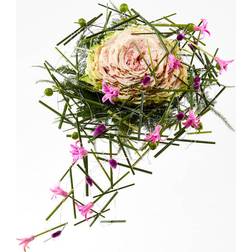 Bloomit Syet Rose i Rosa