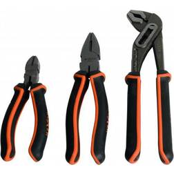 Boxer 1865574 Tang
