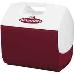 Igloo Koelbox Playmate Elite Rood