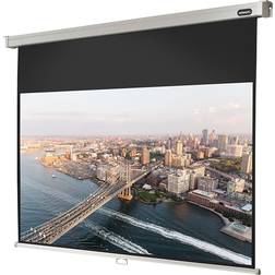 Celexon Ecran de projection Manuel PRO PLUS 220 x 165cm