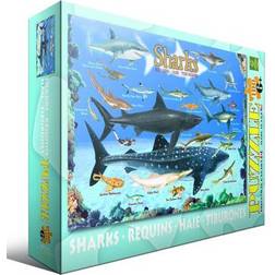 Eurographics Sharks 100 Bitar