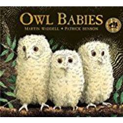 Owl Babies (Inbunden, 2017)