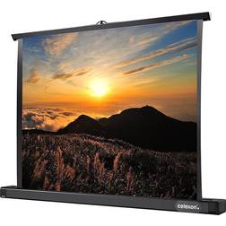 Celexon Ecran de projection Mini PRO 66 x 37 cm