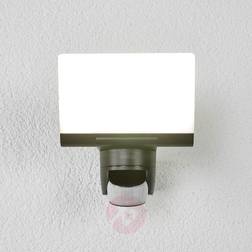 Steinel XLED home Wall Flush Light 7.1"