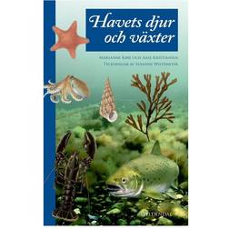 Havets dyr og planter (Indbundet, 2018)