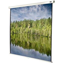 Celexon Economy Manual Screen Ecran de projection montable au plafond, montable sur mur 89" (226 cm) 1:1