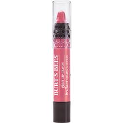 Burt's Bees Gloss Lip Crayon Pink Lagoon