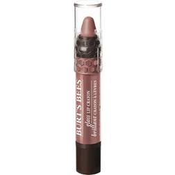 Burt's Bees Gloss Lip Crayon Oatback Oasis