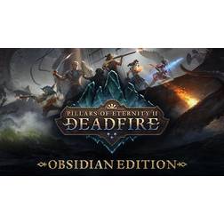 Pillars of Eternity II: Deadfire - Obsidian Edition (PC)