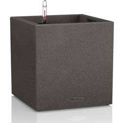 Clarius Canto Cube