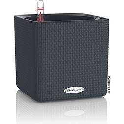 Clarius Cube Color Krukke