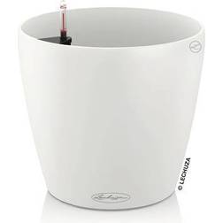 Lechuza Classico Color Pot Krukke